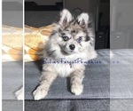 Small #17 Breeder Profile image