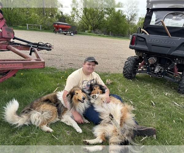 Medium Photo #5  Breeder Profile in DAZEY, ND, USA
