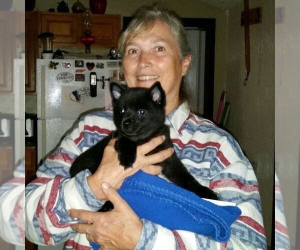 Medium Photo #1  Breeder Profile in SEYMOUR, MO, USA