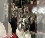 Small #5 Breeder Profile image