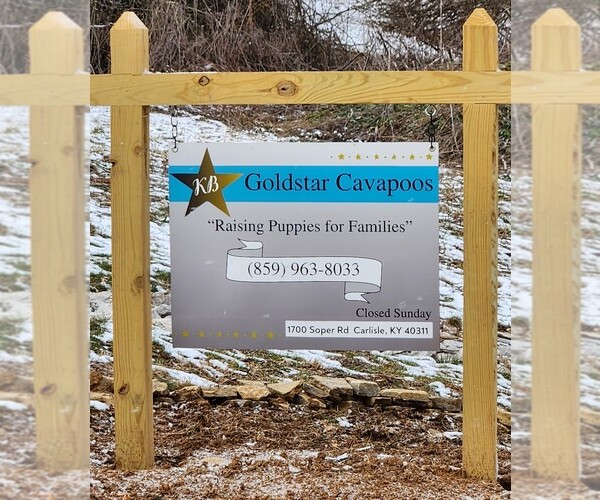 Medium Photo #2  Breeder Profile in CARLISLE, KY, USA