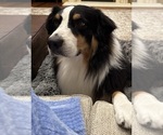Small #4 Breeder Profile image