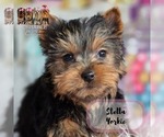 Small #18 Breeder Profile image