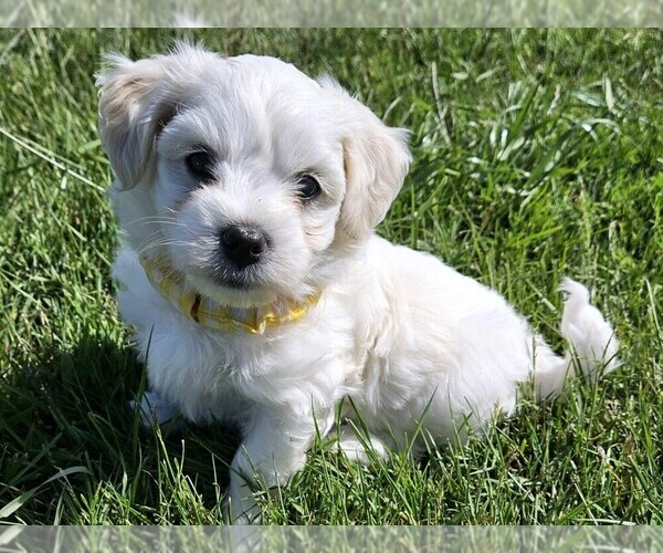 Medium Photo #4  Breeder Profile in FERNDALE, CA, USA