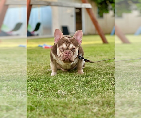 Medium Photo #1  Breeder Profile in NORWALK, CA, USA