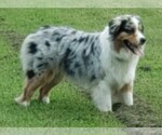 Small #1 Breeder Profile image