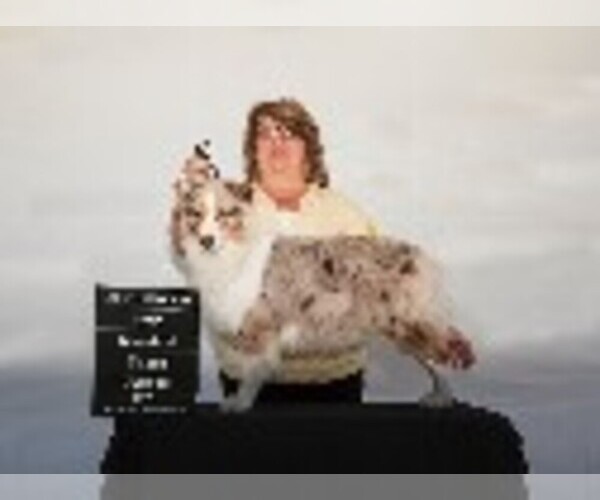 Medium Photo #1  Breeder Profile in SALINAS, CA, USA