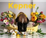 Small #3 Breeder Profile image