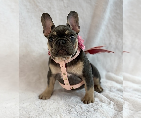 Medium Photo #8  Breeder Profile in KALISPELL, MT, USA