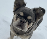 Small #7 Breeder Profile image