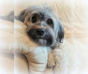 Medium Breeder Profile Photo