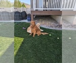 Small #27 Breeder Profile image