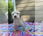 Small #4 Breeder Profile image