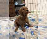 Small #24 Breeder Profile image