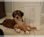Small #2 Breeder Profile image