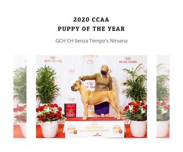 Medium Photo #1  Breeder Profile in BEAVERDAM, VA, USA