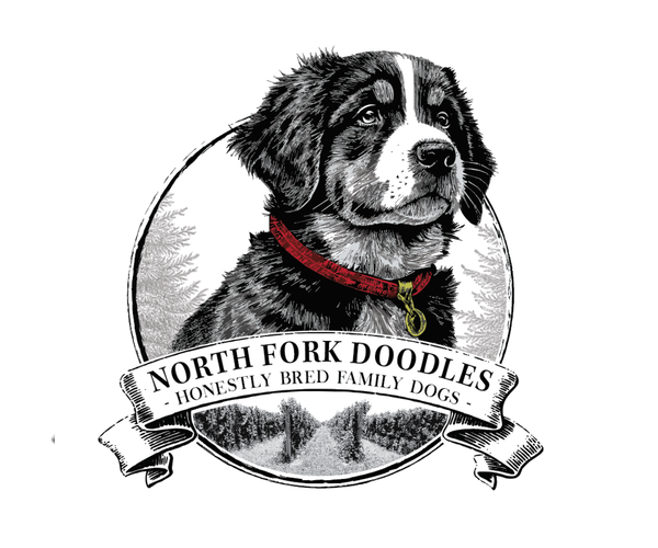 Medium Photo #1  Breeder Profile in MATTITUCK, NY, USA