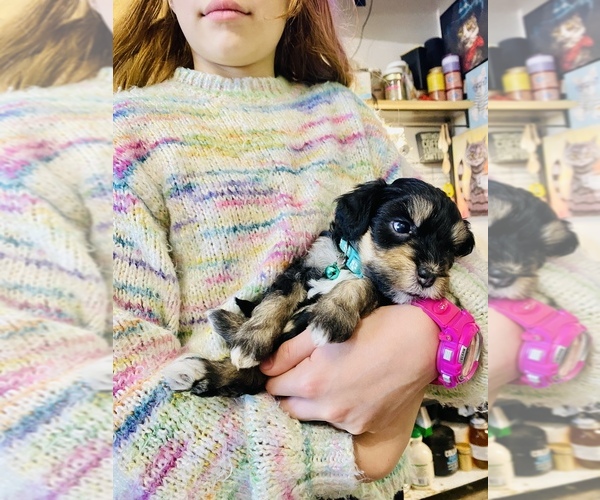 Medium Photo #5  Breeder Profile in FORTVILLE, IN, USA