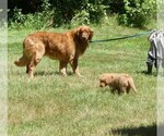 Small #3 Breeder Profile image