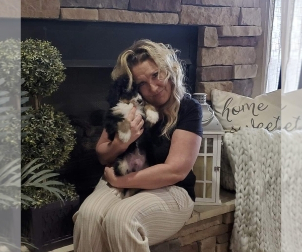 Medium Photo #1  Breeder Profile in CACHE, OK, USA