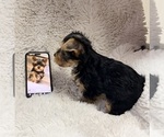 Small #8 Breeder Profile image