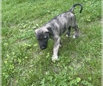 Small #30 Breeder Profile image