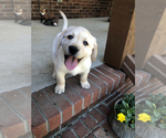 Small #2 Breeder Profile image