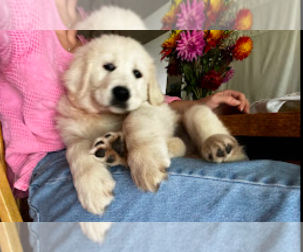 Medium Photo #6  Breeder Profile in JUNCTION CITY, OR, USA