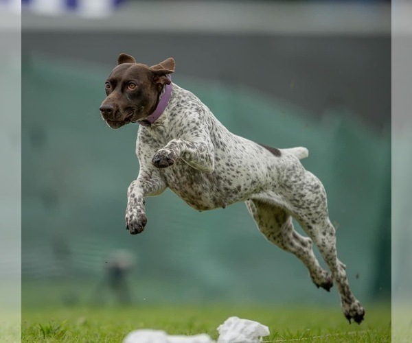 Medium Photo #4  Breeder Profile in LEXINGTON, SC, USA