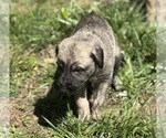 Small #24 Breeder Profile image
