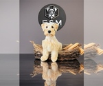 Small #4 Breeder Profile image