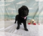 Small #7 Breeder Profile image
