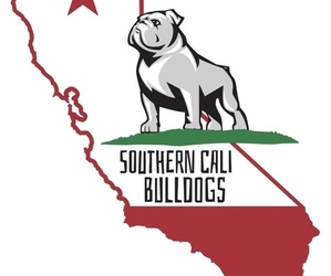 Olde English Bulldogge Dog Breeder near HEMET, CA, USA