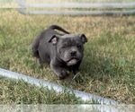 Small #2 Breeder Profile image