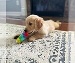 Small #18 Breeder Profile image