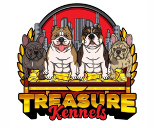 American Bully Dog Breeder near ALBANY, NY, USA