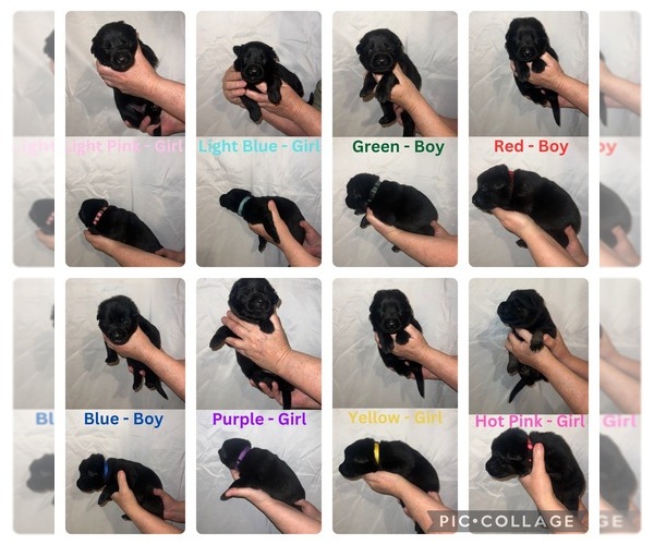 Medium Photo #1  Breeder Profile in MILTON, WI, USA