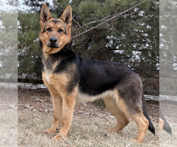 Medium Photo #5  Breeder Profile in DE PERE, WI, USA