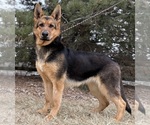 Small #4 Breeder Profile image
