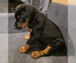 Small #23 Breeder Profile image