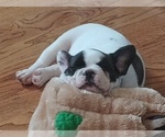 Small #8 Breeder Profile image