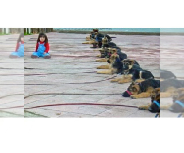 Medium Photo #13  Breeder Profile in WILDOMAR, CA, USA