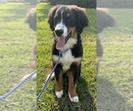 Small #24 Breeder Profile image
