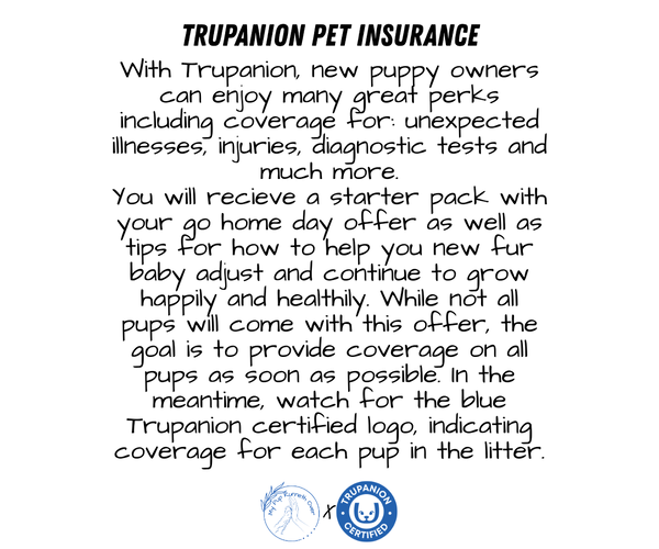 Medium Photo #3  Breeder Profile in GOSHEN, IN, USA