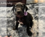 Small #3 Breeder Profile image