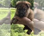 Small #2 Breeder Profile image