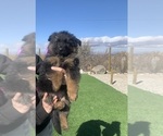 Small #116 Breeder Profile image