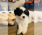 Small #2 Breeder Profile image