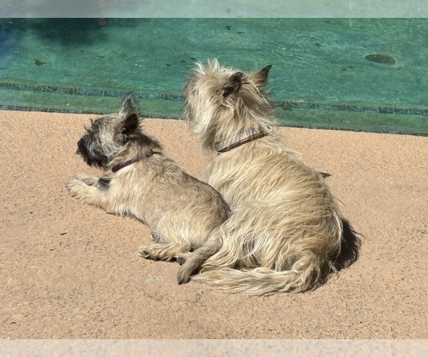 Medium Photo #22  Breeder Profile in FAIR OAKS, CA, USA