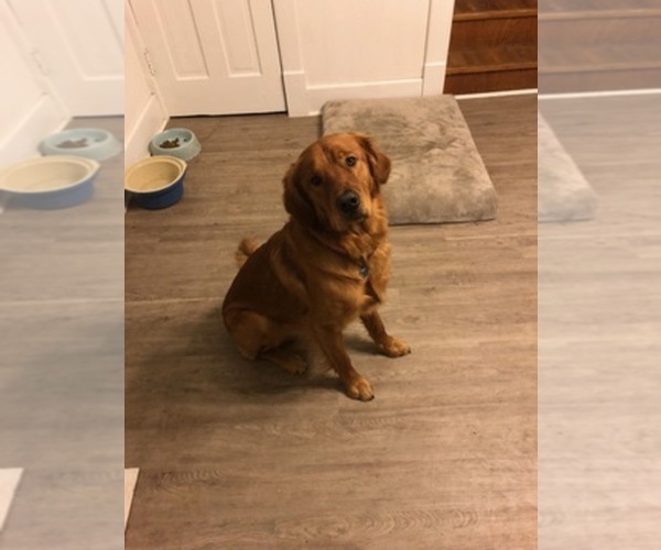 Medium Photo #1  Breeder Profile in BURLINGTON, IA, USA